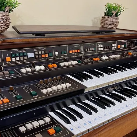 Camino Real Pedrajas de San Esteban