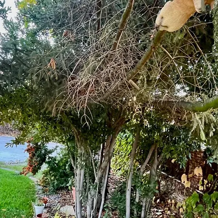 Camino Real Apartment