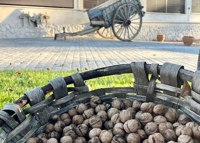 Camino Real * Pedrajas de San Esteban