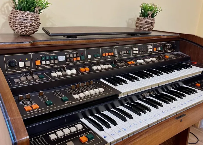 Camino Real Pedrajas de San Esteban