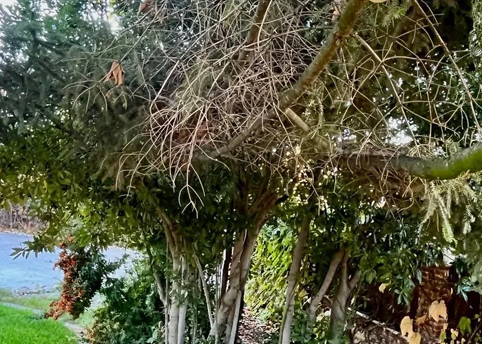 Camino Real Lägenhet